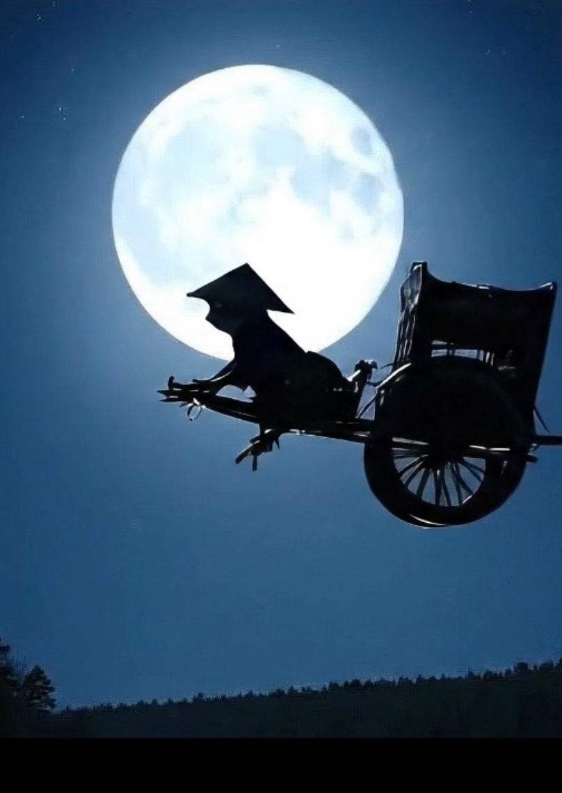 「チー公大作戦～メダカを救え！村長選挙」